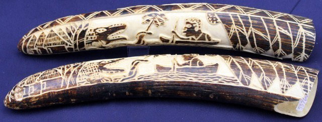 PAIR OF CARVED AFRICAN ELEPHANT IVORY TUSKS: PAIR OF CARVED AFRICAN ELEPHANT IVORY TUSKS Two juvenile tusks carved with similar river scenes. Size: 14" each Condition: VGC Lot: 15389
