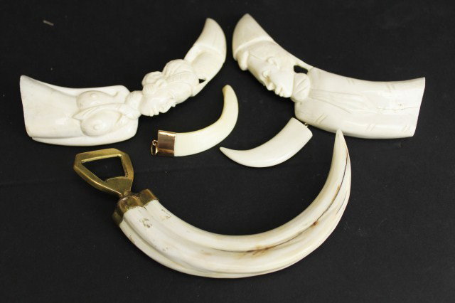 BOARS TOOTH IVORY CARVINGS & TOOLS: BOARS TOOTH IVORY CARVINGS & TOOLS Warthog tusk/boars tooth carved man and woman figures. A bottle opener. Plus two ivory pendants. Size: Up to 6" Condition: VGC Est.100-200