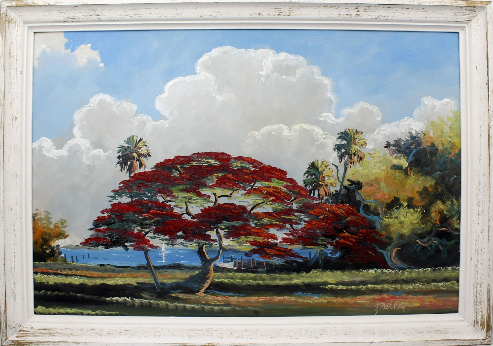 TRACY NEWTON FLORIDA ARTIST POINCIANA BLOOM (1 of 4)
