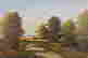 item-11262205=2