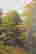 item-11262205=3