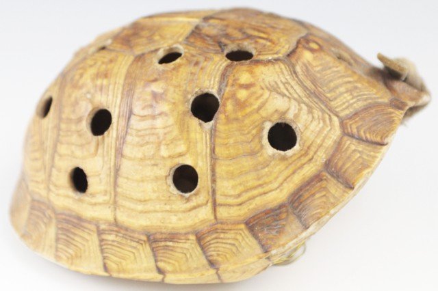 NATIVE AMERICAN TURTLE RATTLE: NATIVE AMERICAN TURTLE RATTLE A plains Indian turtle shell dance rattle. Size: 4.5" long