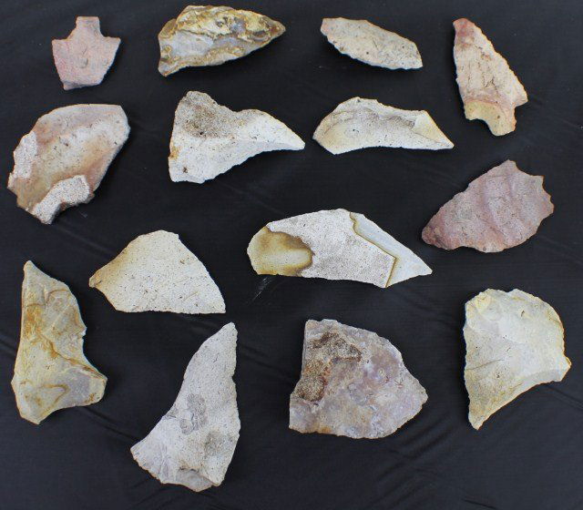 FLORIDA INDIAN - NATIVE AMERICAN POINTS: FLORIDA INDIAN - NATIVE AMERICAN POINTS Florida Native American (Indian) points from areas in and around Leon County, Florida area. Contains 10 points in black case and four loose points. Size: 12 x 8