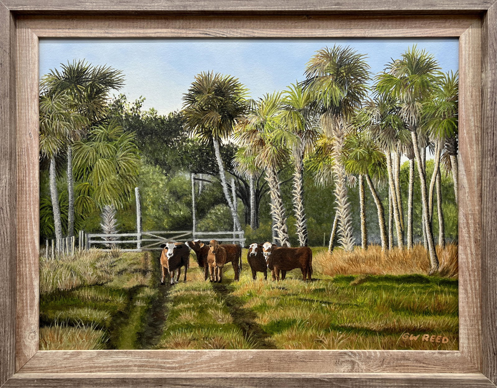GW REED FLORIDA ARTIST BRAFORDS ON ADAMS RANCH: Reed, Greg- Florida Artist Painting. Oil on canvas - signed lower right and verso dated August 2021. Implemented in brush. Palms galore located on Adams Ranch with a herd of Braford cattle enjoying th