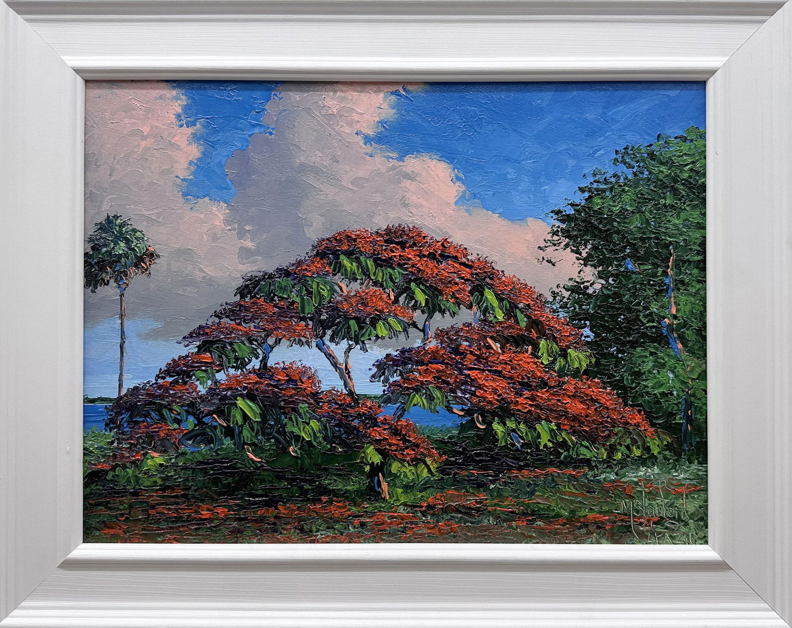 MARK STANFORD FLORIDA ARTIST POINCIANA IN BLOOM: Stanford, Mark - Florida Artist Painting. Oil on Art Board - signed lower right. Full palette knife work produced a highly detailed Poinciana tree with brilliant blue, cloudy sky. Board measures 12x16