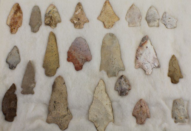 FLORIDA INDIAN - NATIVE AMERICAN POINTS: FLORIDA INDIAN - NATIVE AMERICAN POINTS 21 Florida Native American (Indian) points in black case all field finds from in and around the Leon County Florida. Size: 16 x 12", Est. 50-100, Lot: 32145