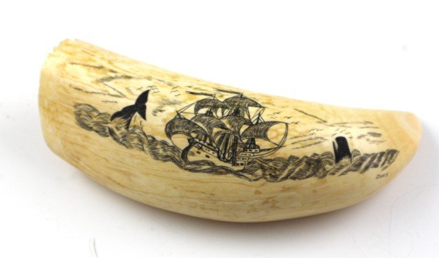 WHALE'S TOOTH SCRIMSHAW SIGNED DIAS: WHALE'S TOOTH SCRIMSHAW SIGNED DIAS Whale's tooth carved with clipper ship and two whales at sea. Tooth is old, carving is newer. Signed right bottom corner, Dias. Size: 6" Est. $ 150-250 Lot 31305