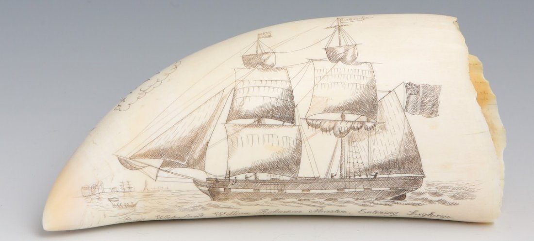 A FINE WHALES TOOTH SCRIMSHAW DATED 1850: A FINE WHALES TOOTH SCRIMSHAW DATED 1850 A large whales tooth with a fine scrimshaw picture of the English Brig Waterford entering Leghorn. William Robinson, Master. Created by Michele Renault, in shi