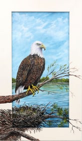 JILL KETTLER FLORIDA ARTIST EAGLE NESTING