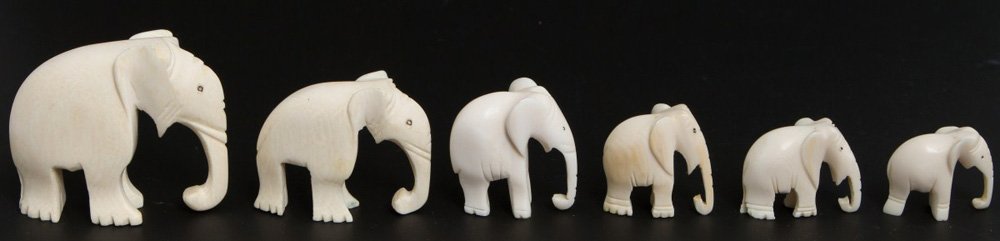 SIX GRADUATED CARVED IVORY ELEPHANTS: SIX GRADUATED CARVED IVORY ELEPHANTS A lot of six carved elephants, graduated, carved from elephant ivory. Elephants are standing with trunks down and tucked under. Size: 1-2" Weight: 0.171kg