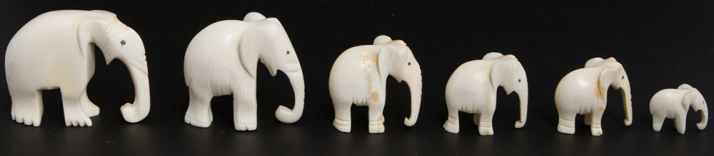 SIX GRADUATED CARVED IVORY ELEPHANTS: SIX GRADUATED CARVED IVORY ELEPHANTS A lot of six carved elephants, graduated, carved from elephant ivory. Elephants are standing with trunks down. Size: 1-2" Weight: 0.160kg
