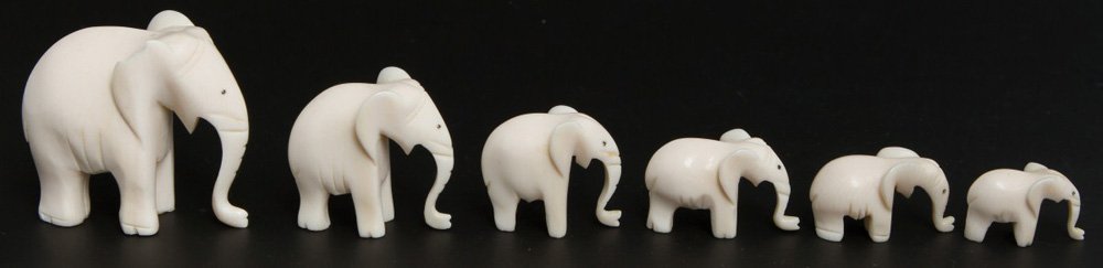 SIX GRADUATED CARVED IVORY ELEPHANTS: SIX GRADUATED CARVED IVORY ELEPHANTS A lot of six carved elephants, graduated, carved from elephant ivory. Elephants are standing with trunks down. Largest elephant has chip to right ear. Size: 1-2" W