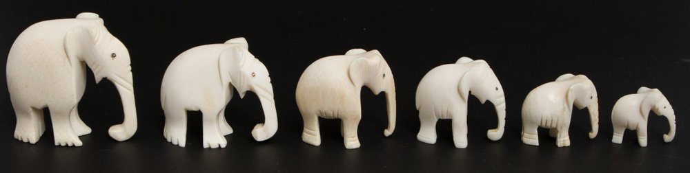 SIX GRADUATED CARVED IVORY ELEPHANTS: SIX GRADUATED CARVED IVORY ELEPHANTS A lot of six carved elephants, graduated, carved from elephant ivory. Elephants are standing with trunks down. Size: 1-2" Weight: 0.158kg