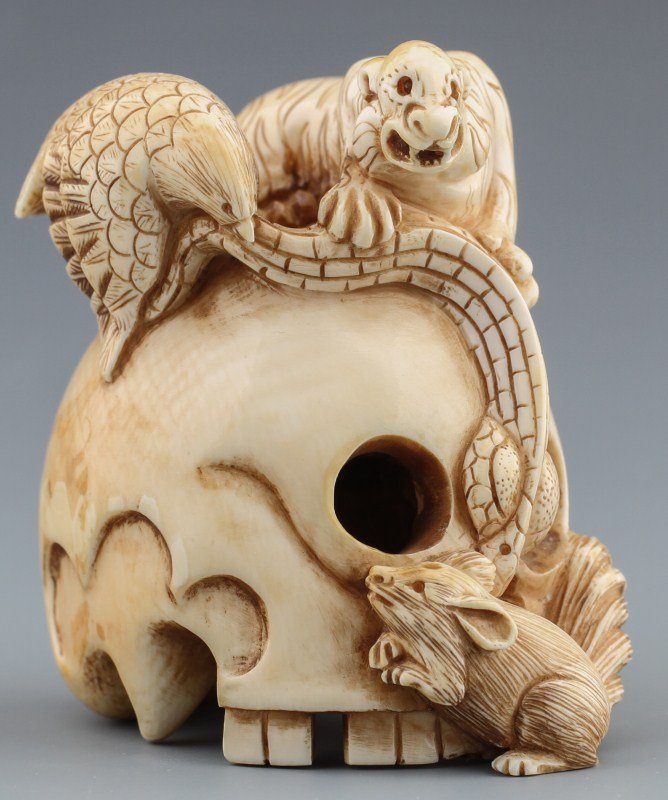 JAPANESE CARVED IVORY SKULL NETSUKE: JAPANESE CARVED IVORY SKULL NETSUKE Japanese carved ivory netsuke, skull with snake, bird, tiger and squirrel, highly polished. Signed. Size: 2.5 x 2.5 x 2" Weight: 155 g