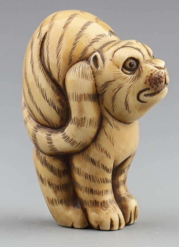 JAPANESE CARVED IVORY NETSUKE TABBY CAT: JAPANESE CARVED IVORY NETSUKE TABBY CAT Japanese carved ivory netsuke of a tabby cat with arched back. Signed. Size: 2 x 1.25 x .75" Weight: 30g