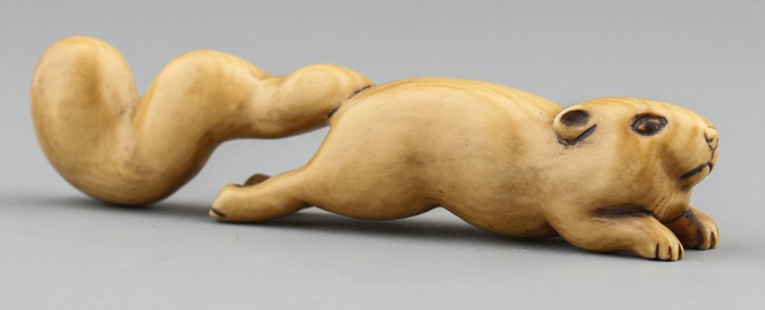JAPANESE CARVED IVORY NETSUKE SQUIRREL BAISHO: JAPANESE CARVED IVORY NETSUKE SQUIRREL BAISHO Early 20th century Japanese carved ivory netsuke of running squirrel, signed Baisho. Size: 3 1/4"l Weight: 18g