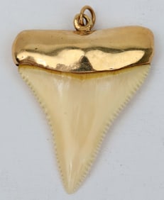 14K GOLD HUGE TIGER SHARK TOOTH PENDANT