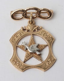 10K ANTIQUE MASONS STAR PIN
