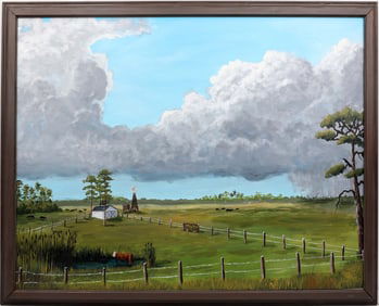 CAROL ANN KNAPP FLORIDA ARTIST RANCH PANORAMA