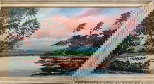 TODD MARTIN FLORIDA ARTIST SUNSET SURPRISE