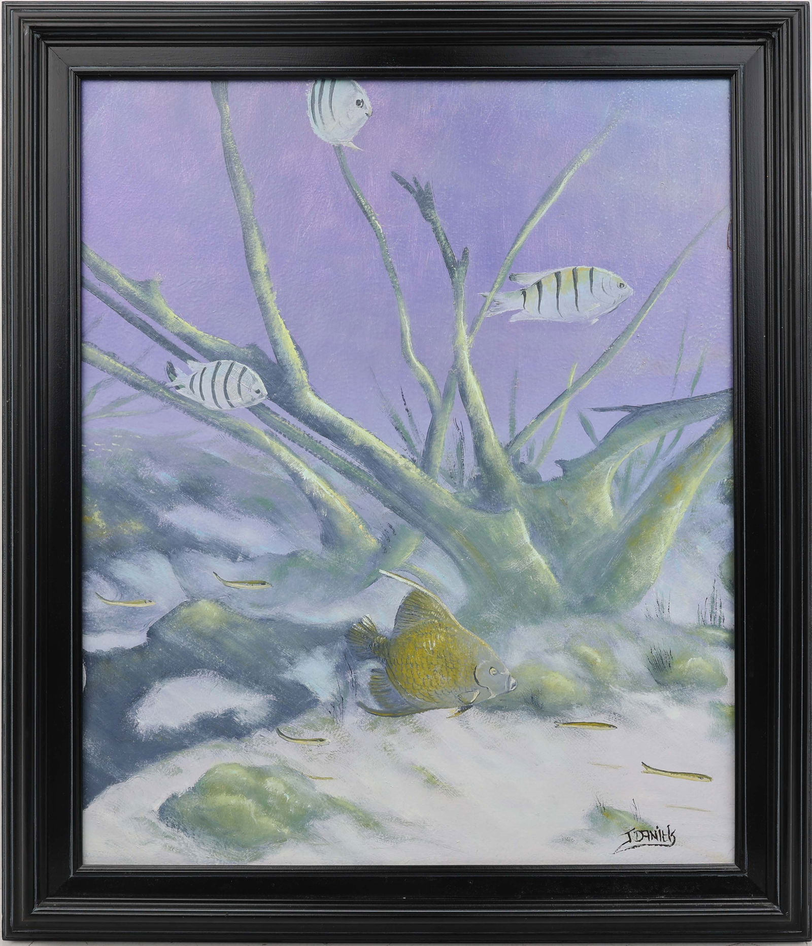 JOHNNY DANIELS FLORIDA HIGHWAYMEN GO FISH (1 of 4)