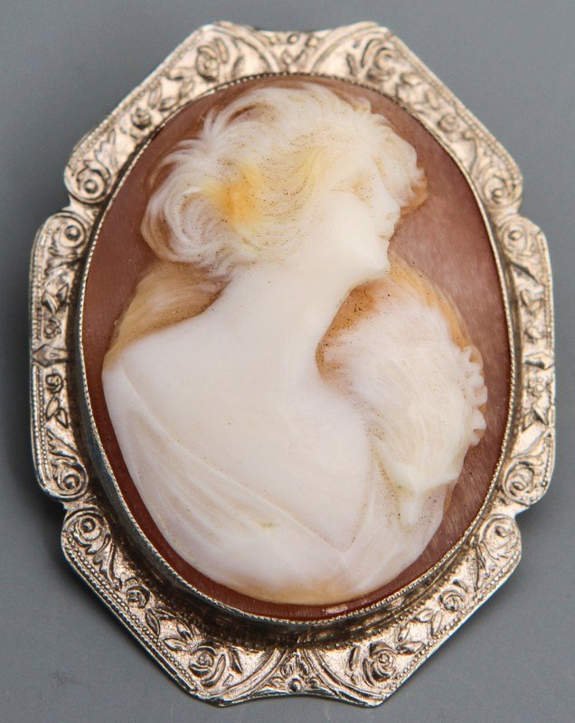 10K WHITE GOLD CAMEO PIN/PENDANT FEMALE PROFILE: 10K WHITE GOLD CAMEO PIN/PENDANT FEMALE PROFILE Shell cameo relief of female bust in profile, 10K white gold with etched bezel. Weight: 4.8g Size: 1.25 x 1"