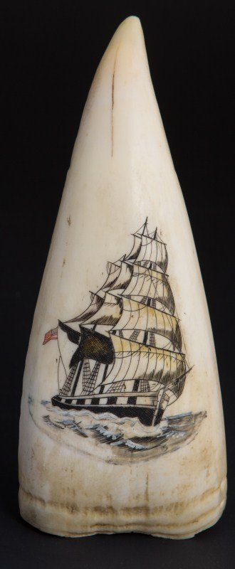 WHALES TOOTH SCRIMSHAW SHIP WITH US FLAG: WHALES TOOTH SCRIMSHAW SHIP WITH US FLAG A whale's tooth with scrimshaw work featuring carving of clipper ship with US flag. Tooth weighs 5.6 oz. Size: 5 x 2"