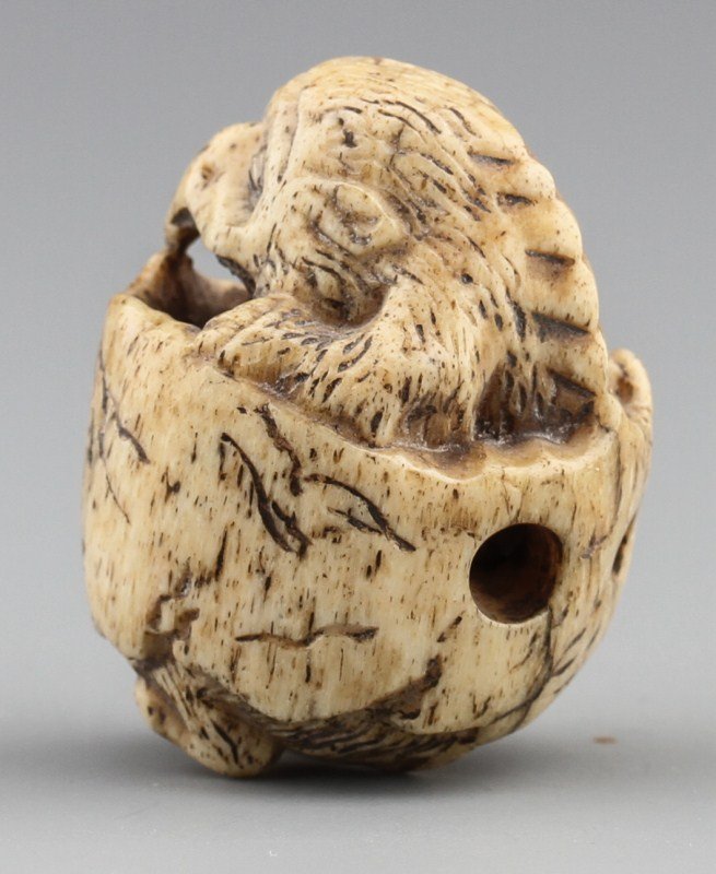 JAPANESE CARVED BONE NETSUKE TENGU HATCHLING - 2