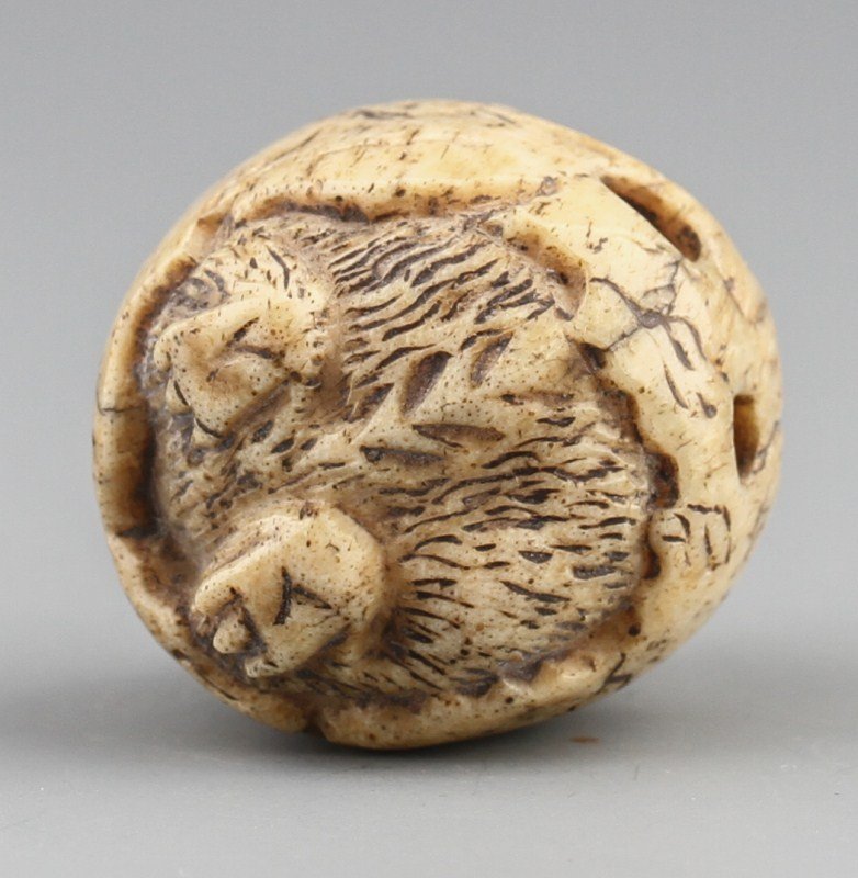 JAPANESE CARVED BONE NETSUKE TENGU HATCHLING - 3