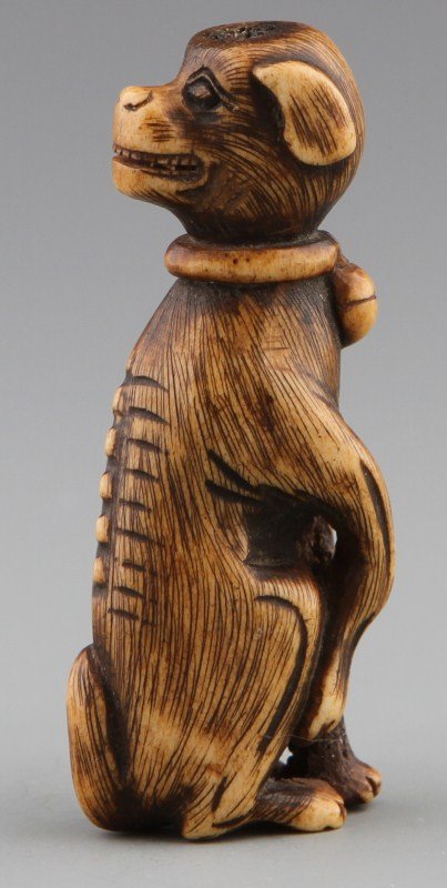 JAPANESE CARVED IVORY NETSUKE EMACIATED DOG: JAPANESE CARVED IVORY NETSUKE EMACIATED DOG Japanese carved netsuke of emaciated dog with bell collar. Stained detail. Size: 2.25" Weight: 13g