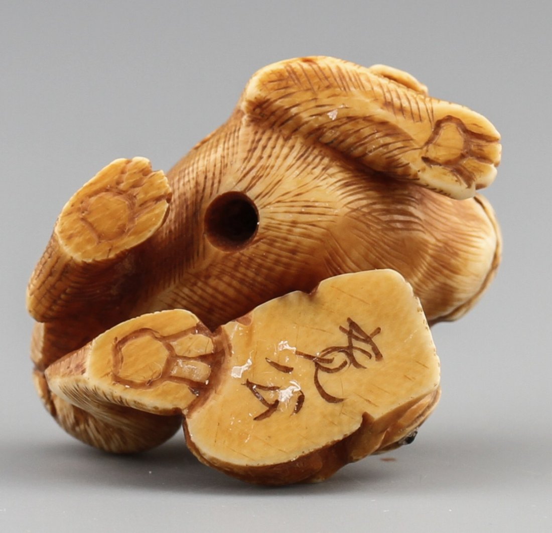 JAPANESE CARVED IVORY NETSUKE FROG AND PUPPY - 3