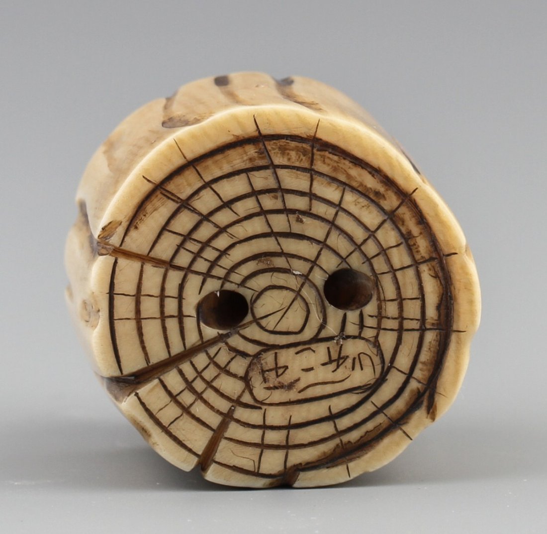 JAPANESE CARVED IVORY NETSUKE TOAD ON A LOG - 3