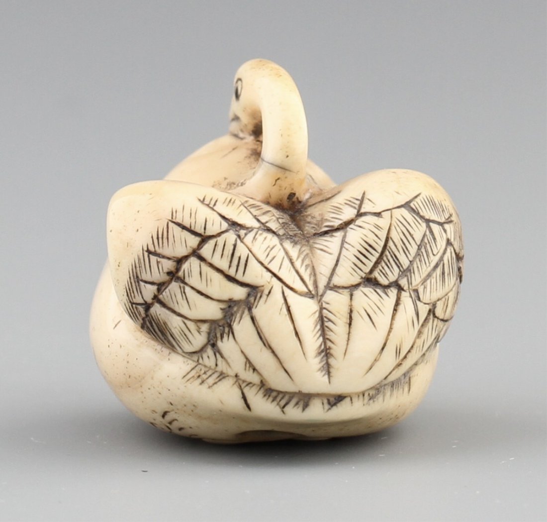 JAPANESE CARVED IVORY NETSUKE SWAN - 2