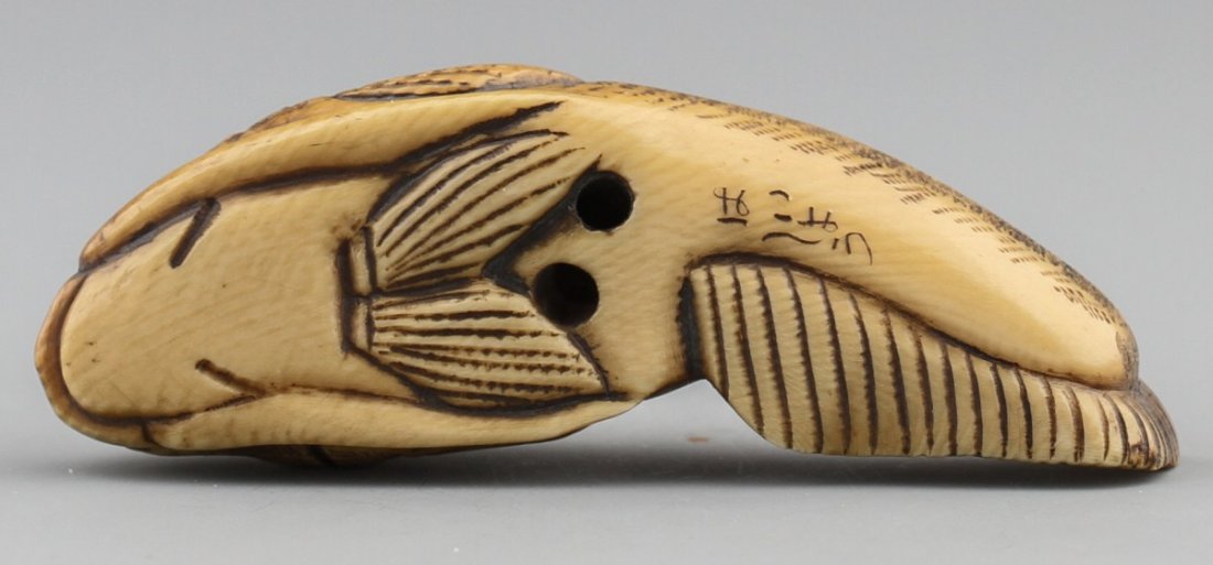 JAPANESE CARVED IVORY NETSUKE CATFISH BAISHO - 3