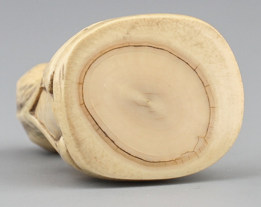 JAPANESE CARVED IVORY NETSUKE TURTLE - 3