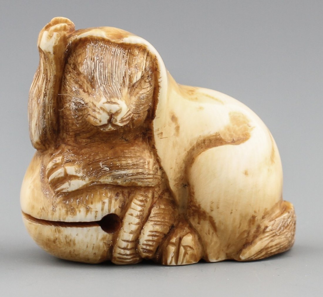 JAPANESE CARVED IVORY NETSUKE TANUKI: JAPANESE CARVED IVORY NETSUKE TANUKI Japanese carved ivory netsuke of cloaked Tanuki resting on a bell-sculpted ball, Signed. Size: 1.25 x 1.5" Weight: 26.9 g