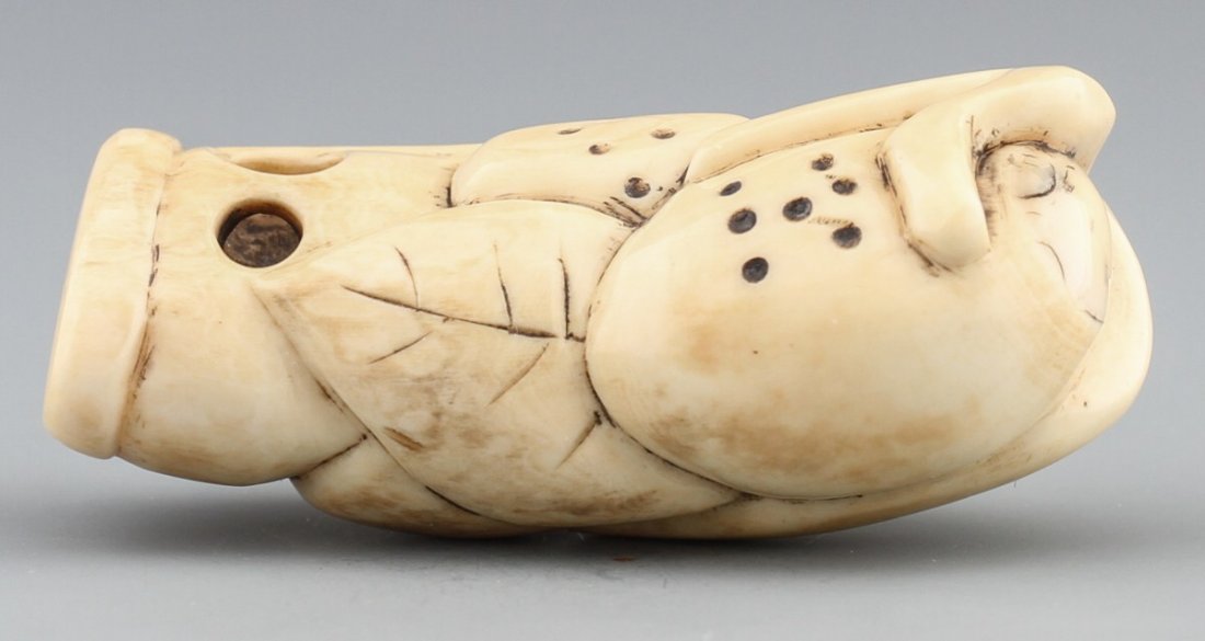 JAPANESE CARVED IVORY NETSUKE LOQUAT FRUIT - 2