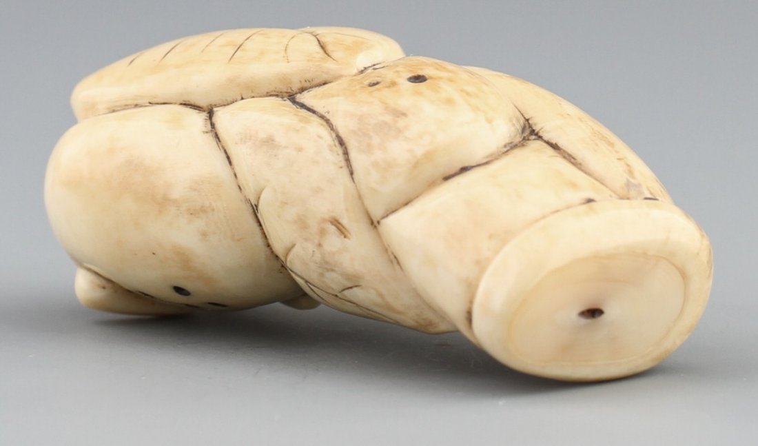 JAPANESE CARVED IVORY NETSUKE LOQUAT FRUIT - 3