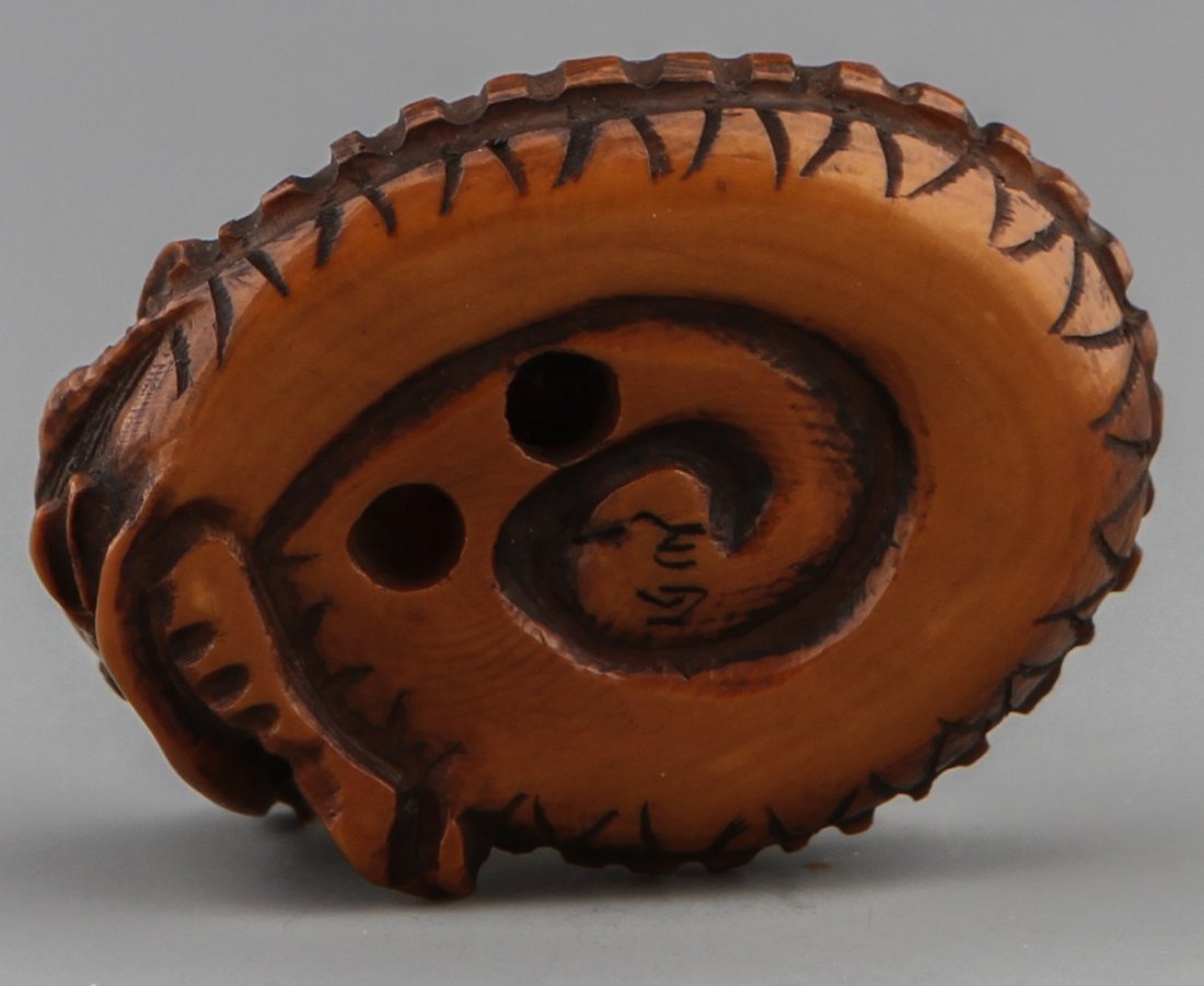 JAPANESE CARVED IVORY NETSUKE CURLED DRAGON - 3