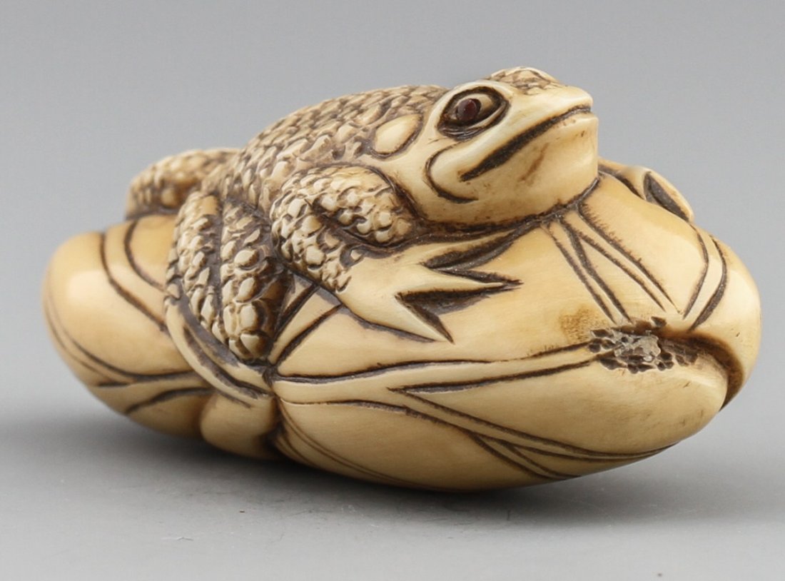 JAPANESE CARVED IVORY NETSUKE TOAD BAISHO: JAPANESE CARVED IVORY NETSUKE TOAD BAISHO Early 20th century Japanese ivory carved netsuke of toad resting on curled lily pad, signed Baisho. Size: 2" Weight: 27g
