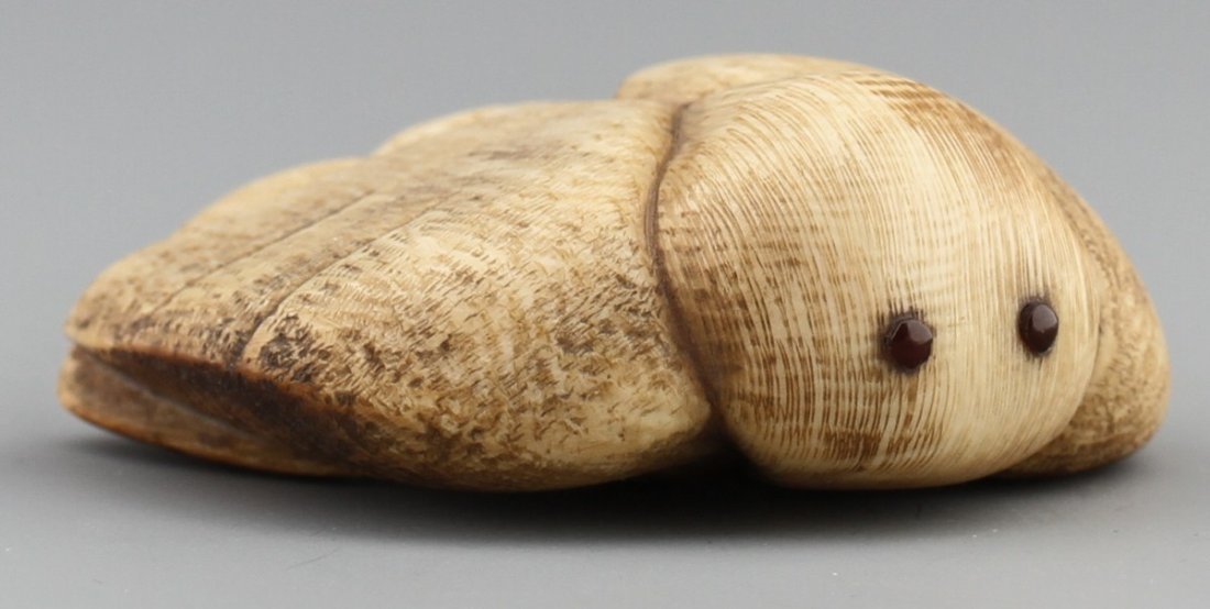 JAPANESE CARVED IVORY NETSUKE MOTH BAISHO