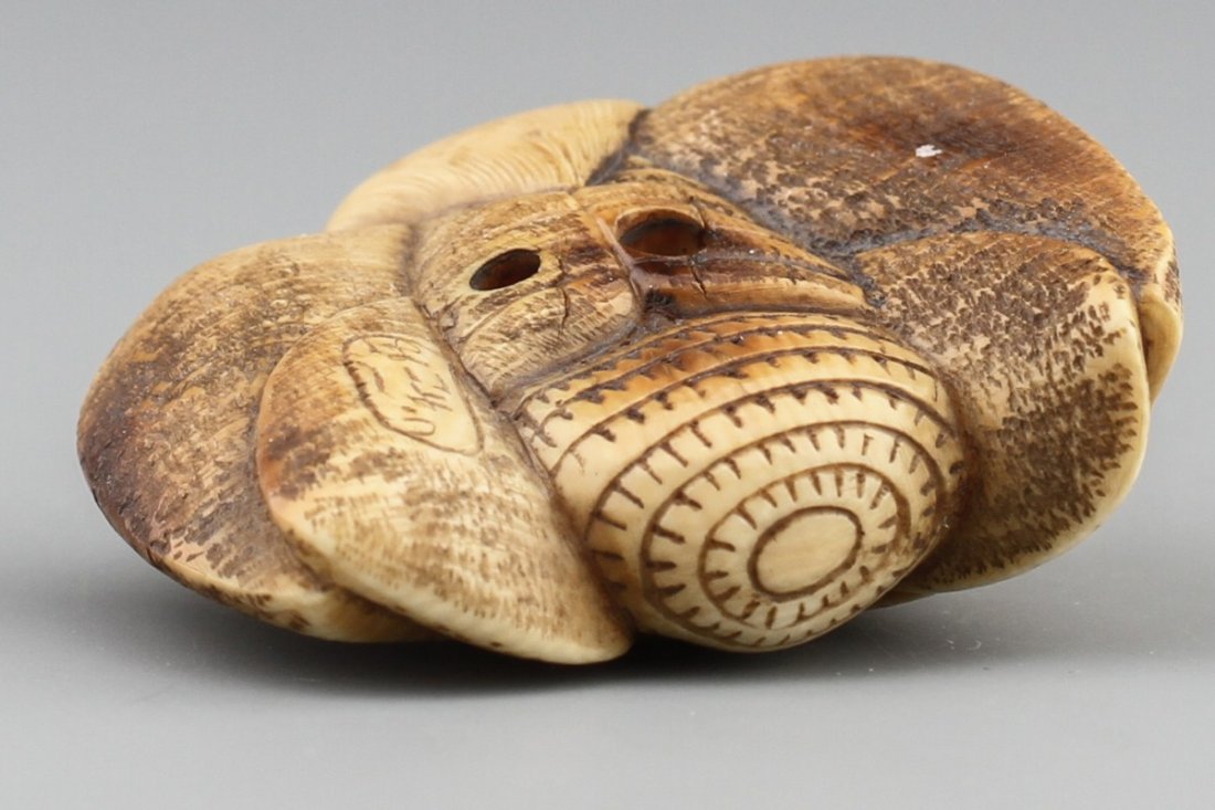 JAPANESE CARVED IVORY NETSUKE MOTH BAISHO - 2