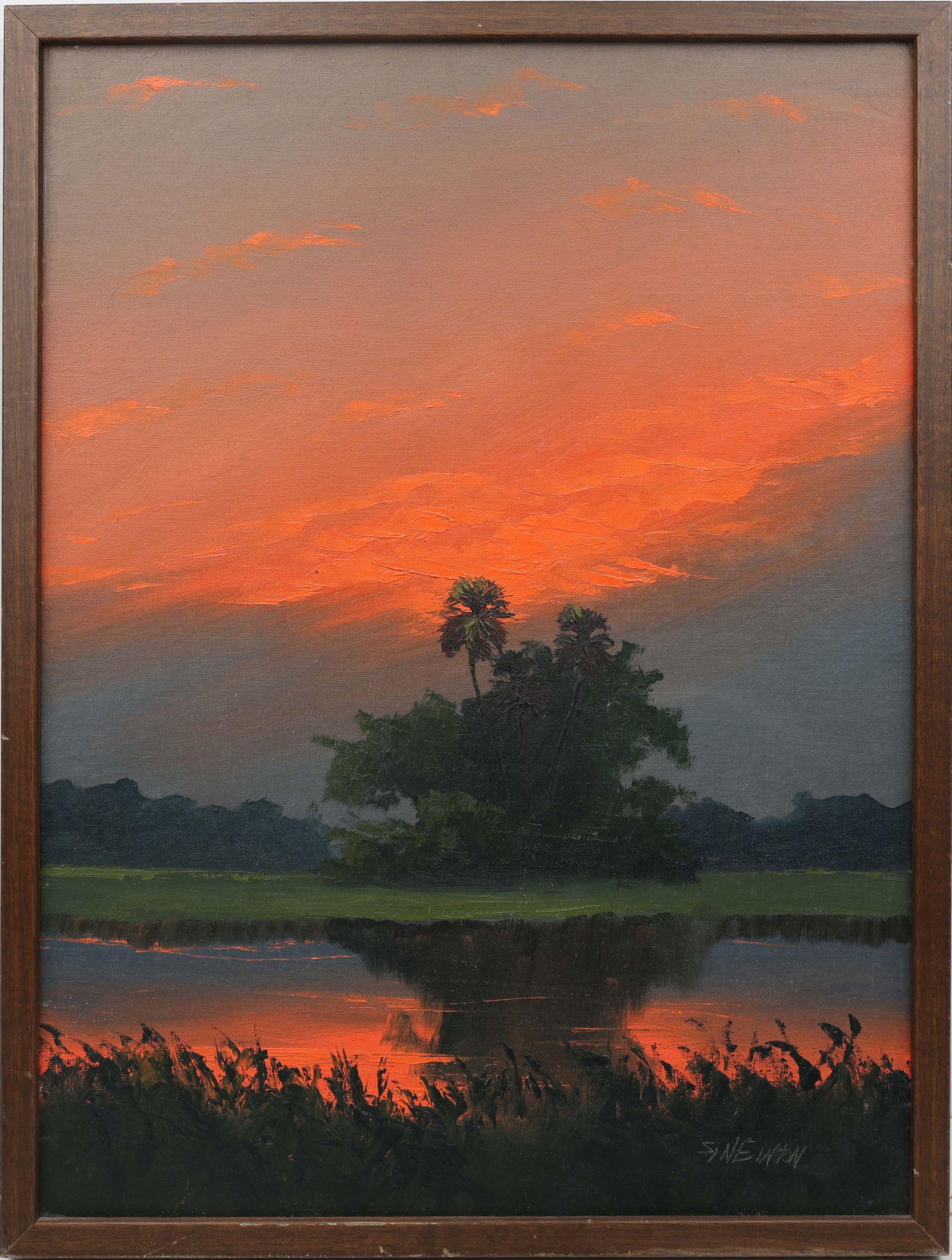SAM NEWTON FLORIDA HIGHWAYMEN FIRESKY IN THE WEST (1 of 4)