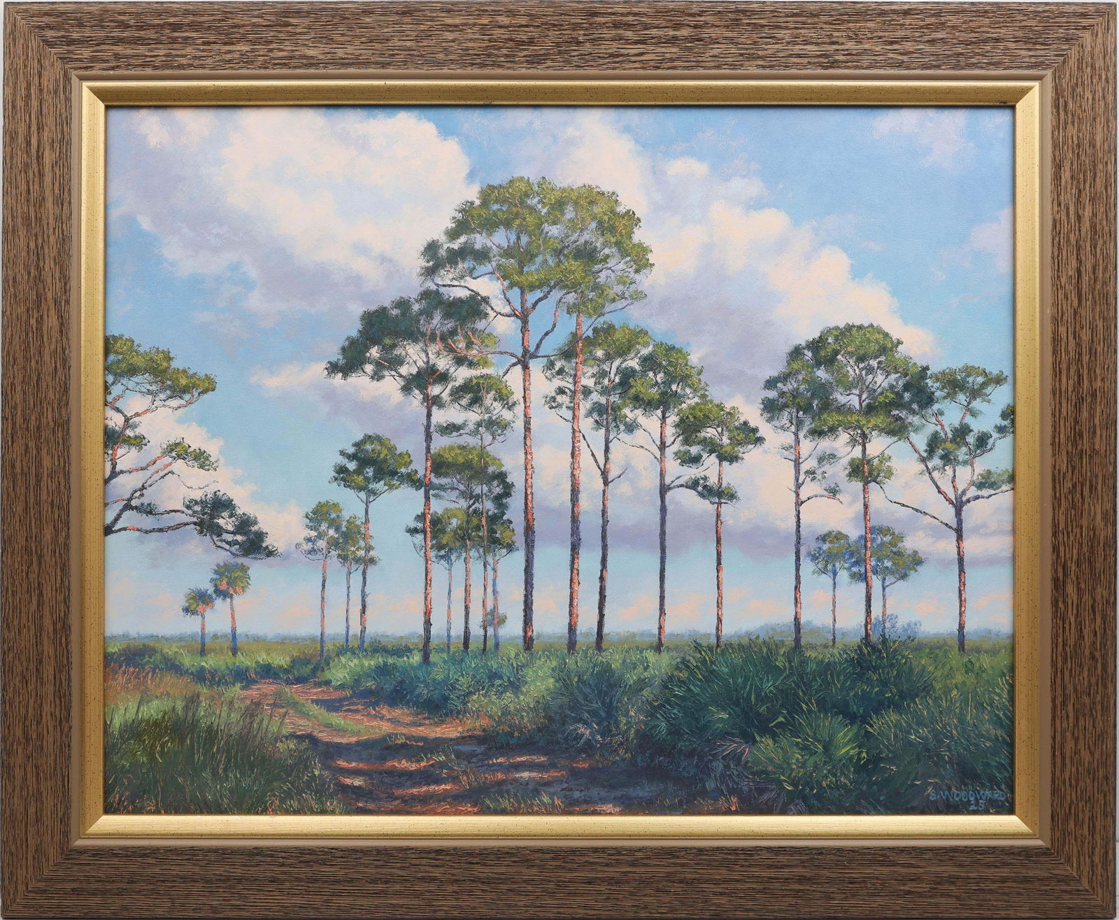 SCOTT WOODWARD FLORIDA ARTIST STATELY PINES: Woodward, Scott - Florida Artist Painting. Oil on Canvas - signed lower right. Painted in full palette knife. A grove of stately pines rises straight and commanding, their vertical rhythm set against