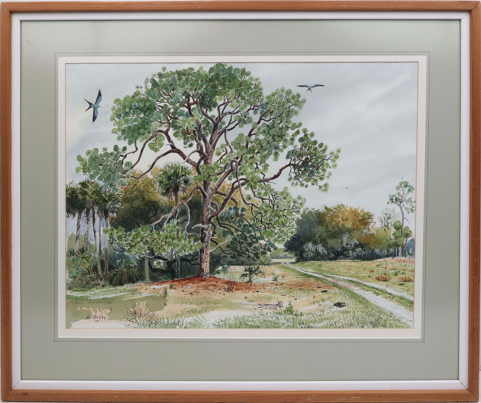 HARRY MCVAY FLORIDA ARTIST SPRAWLING SLASH PINE: McVay, Harry ( B. 1947 ) Florida Artist Painting. Watercolor on paper - signed lower left. Executed in brushwork. A gravel road cuts through quiet countryside, guiding the eye toward a towering slash
