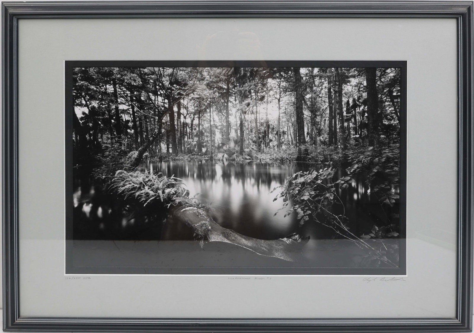 CLYDE BUTCHER FLORIDA ARTIST PHOTO LOXAHATCHEE (1 of 4)