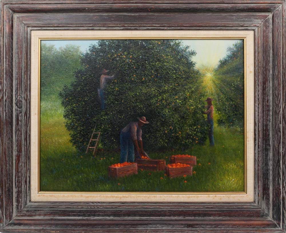 AHMED ELTEMTAMY FLORIDA ARTIST ORANGE HARVEST: Eltemtamy, Ahmed (B. 1960) - Florida Artist Painting. Oil on Canvas Board - signed lower left. Executed in brush. A laborer climbs a ladder to harvest oranges while two others pick and fill crates, fo