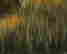 item-19514105=4
