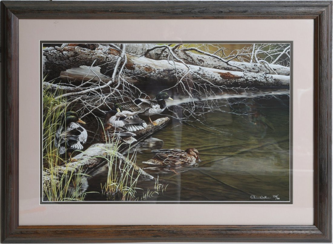 DUCKS UNLIMITED C. B. WALDEN "SIESTA" SIGNED PRINT: DUCKS UNLIMITED C. B. WALDEN "SIESTA" SIGNED PRINT # 735/900 signed Ducks Unlimited "Siesta" print by wildlife artist Christopher B. Walden (American, b.1954) depicting a group of mallards. Set in woo