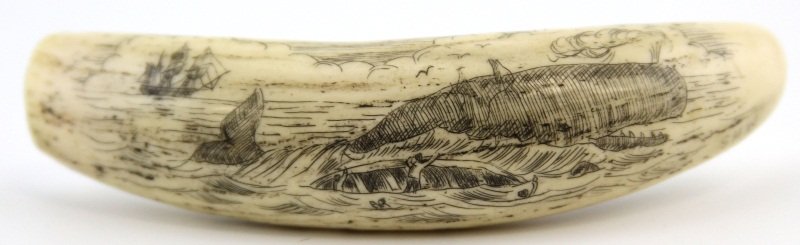 SCRIMSHAW IVORY WHALE TOOTH SUNKEN SHIP: SCRIMSHAW IVORY WHALE TOOTH SUNKEN SHIP Scrimshaw ivory whale tooth, depicting an capsized ship and crew with a large sperm whale, signed "S.H.W" Weight: 54.5g Size: 3.75"
